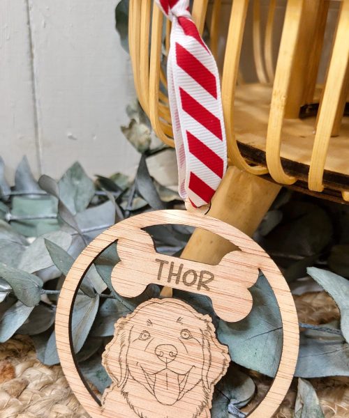 Adorno ilustración de tu mascota